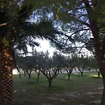 Phoenix Beachside