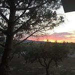 Phoenix Beachside Lejlighed *