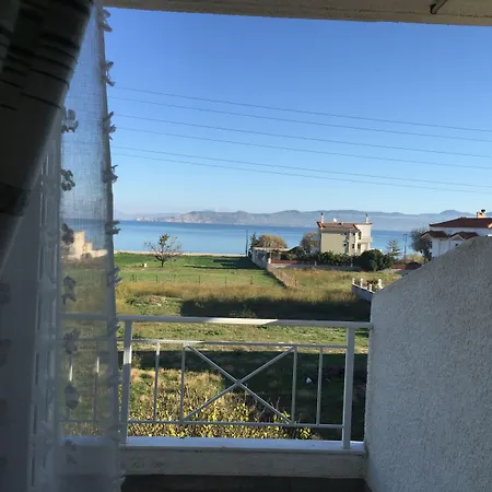 Phoenix Beachside Daire