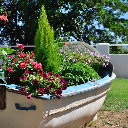 Phoenix Beachside * Kokkónion