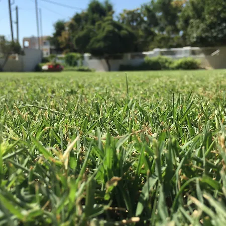 Phoenix Beachside Apartamento *