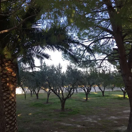 شقة Phoenix Beachside *