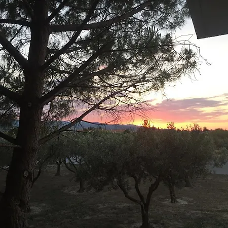 Phoenix Beachside Apartment *