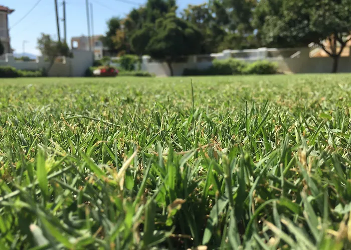 Phoenix Beachside Lejlighed *