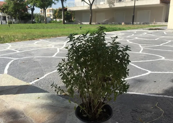 Apartment Phoenix Beachside Kokkonion