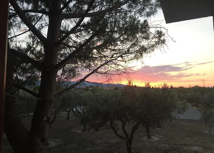 Phoenix Beachside Apartamento *